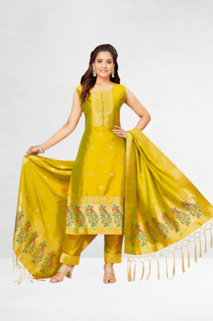 Paithani Silk Straight Dress